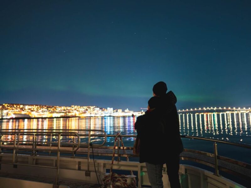 Tromsø: Electric Northern Lights Cruise - Aurora Visibility and Night Sky Views