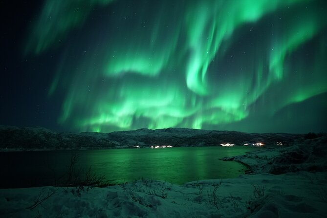 Tromsø: Evening Cruise with Northern Lights Opportunity - Starting in Tromsø’s City Center