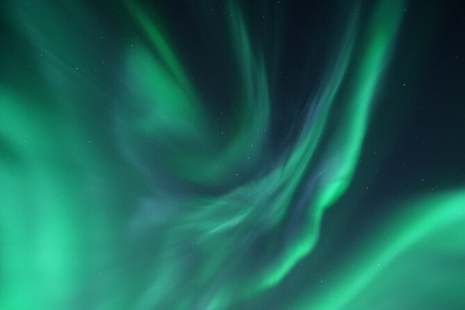 Tromsø: Evening Cruise with Northern Lights Opportunity - The Experience and Safety Considerations