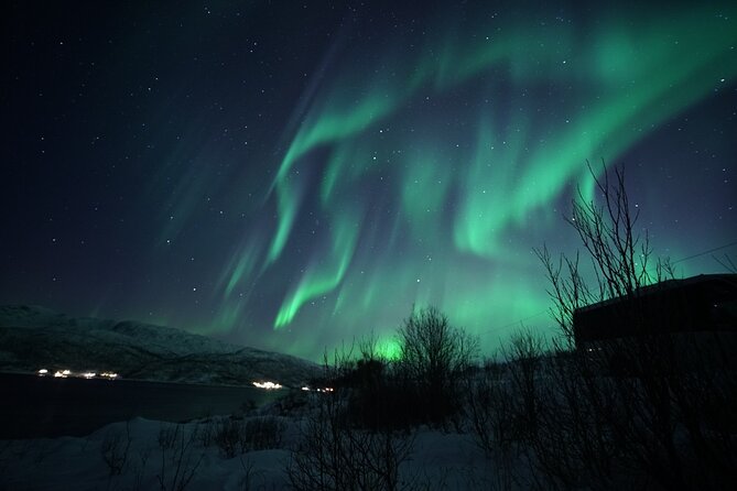Tromsø: Evening Cruise with Northern Lights Opportunity - Food, Drinks, and Comfort Amenities