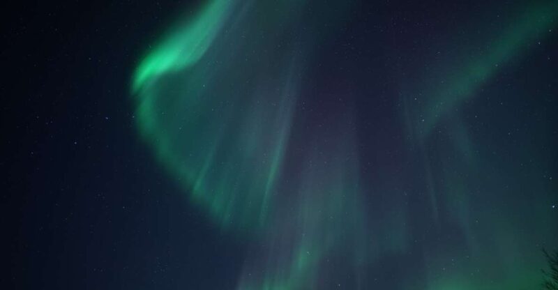 Tromsø: Evening Cruise with Northern Lights Opportunity - Tromsøs Meeting Point and Departure Details