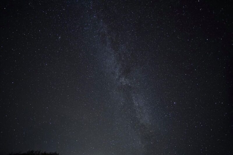 Tromsø: Evening Cruise with Northern Lights Opportunity - Guides and Crew: Knowledgeable and Helpful