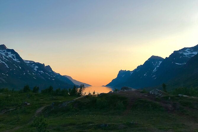 Tromsø: Exclusive Fjord Adventure by Bus - Scenic Stops with Photo Opportunities and Wildlife