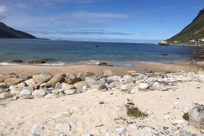 Tromsø: Exclusive Fjord Adventure by Bus - Booking, Flexibility, and Weather Considerations