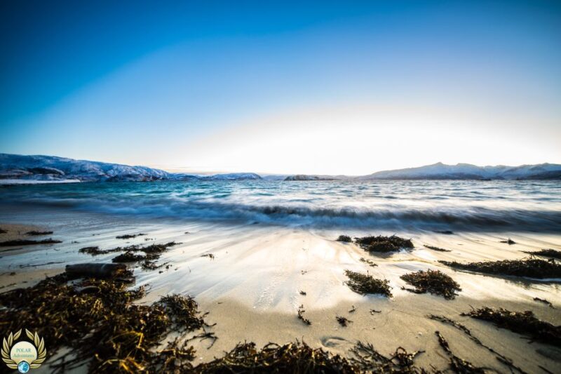 Tromsø: Exclusive Fjord Adventure by Bus - Comparing Similar Fjord Tours