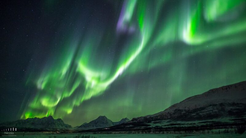 Tromsø: Expert Aurora Hunt - Thermal Gear, Food, Campfire - The Guide’s Expertise and Photography Tips