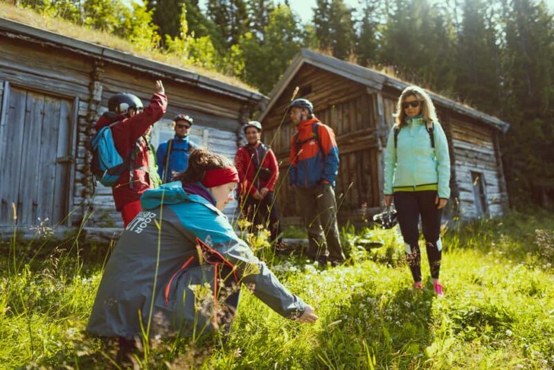 Tromsø: Explore Tromso by E-bike - Riding an Electric Fatbike Along Tromsø’s Paths