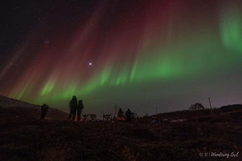 Tromsø: Express Aurora Hunt - How the Tour Begins with Convenient Pickup Options