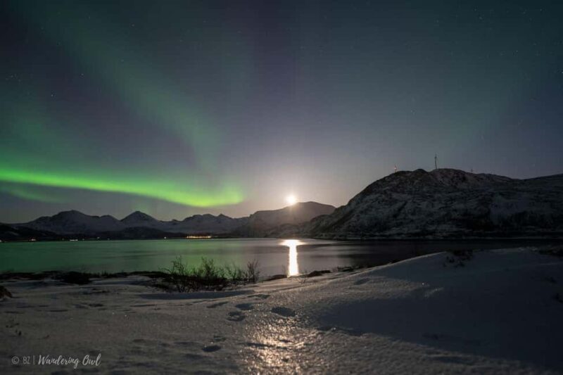 Tromsø: Express Aurora Hunt - Warm up with Hot Drinks and Homemade Biscuits