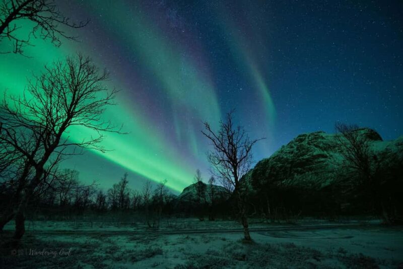 Tromsø: Express Aurora Hunt - Guides Who Know the Best Spots and Help with Night Photography