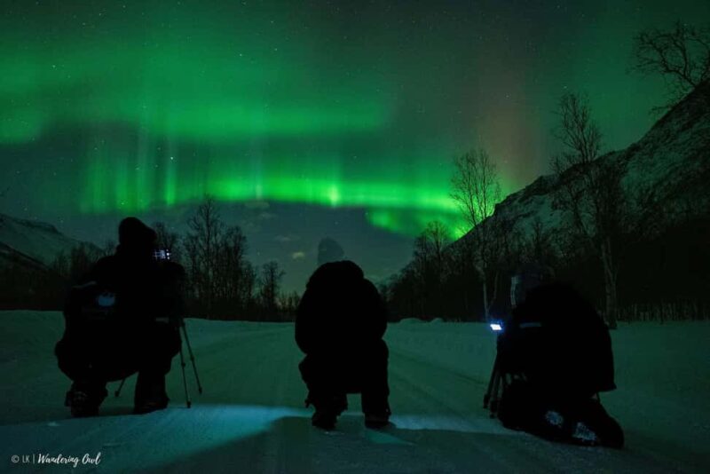 Tromsø: Express Aurora Hunt - Physical Requirements and Practical Tips