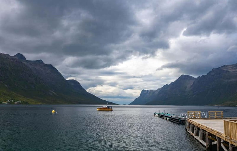 Tromsø: Express Fjord Road Trip - Wildlife Watching in the Fjords