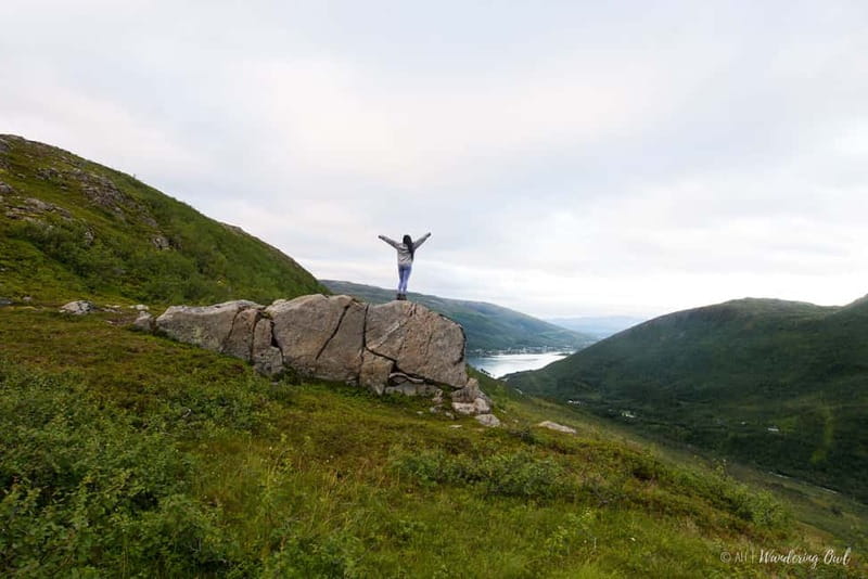 Tromsø: Express Summer Day Hike in the wilderness - Discover Tromsø’s Arctic Wilderness in Just 3 Hours