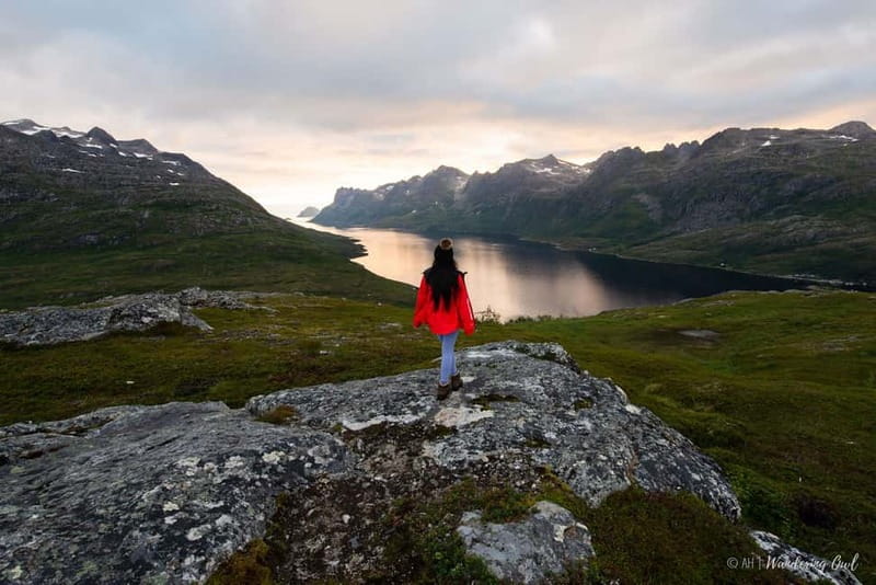 Tromsø: Express Summer Day Hike in the wilderness - Key Points