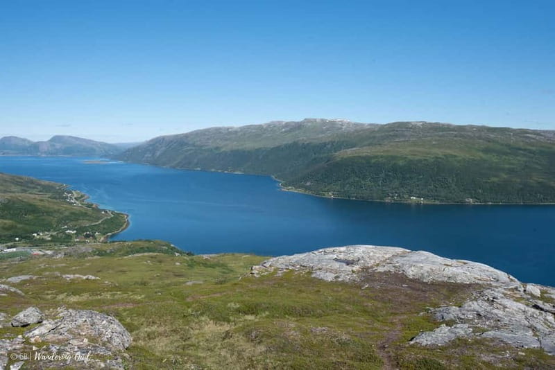 Tromsø: Express Summer Day Hike in the wilderness - Learning About Arctic Flora and Fauna