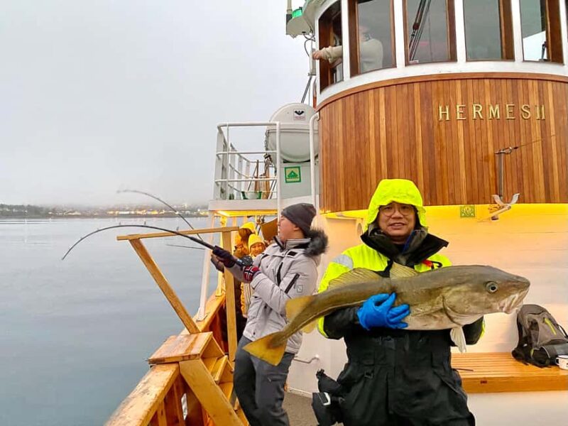 Tromsø: Fishing & Fjord Cruise - Departing from Tromsø’s Pier 12 with the Hermes II