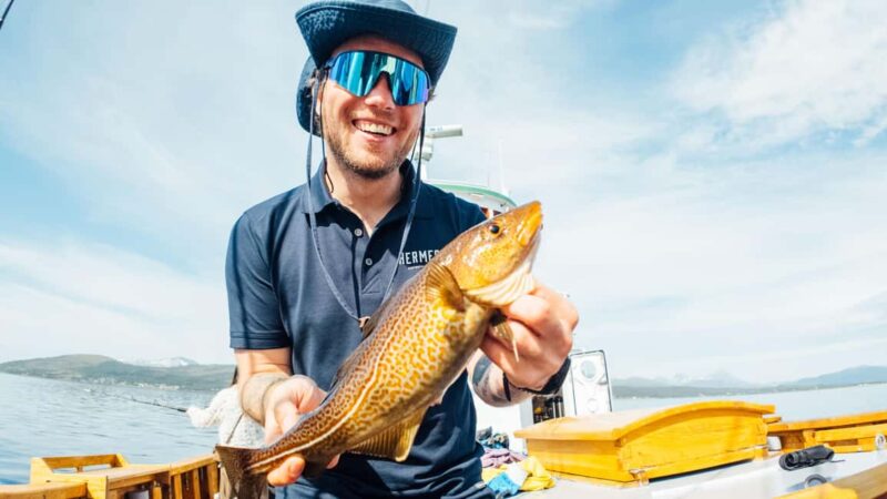 Tromsø: Fishing & Fjord Cruise - A Wide Range of Positive Reviews