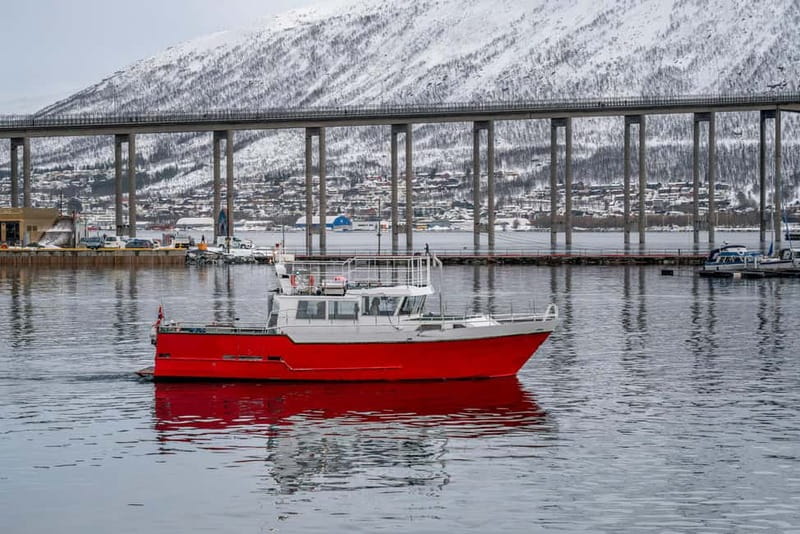 Tromsø: Fishing Sea Safari - Key Points
