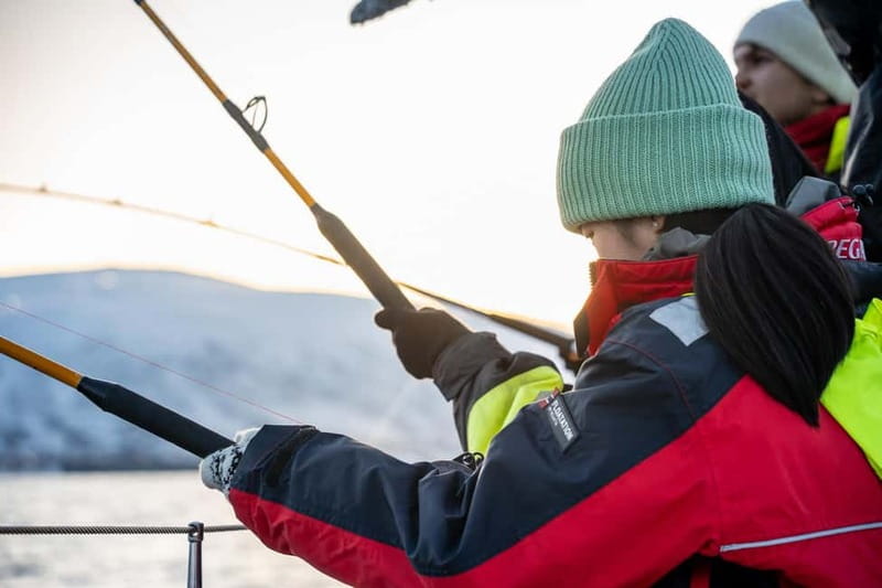 Tromsø: Fishing Sea Safari - Wildlife Watching Among Arctic Waters