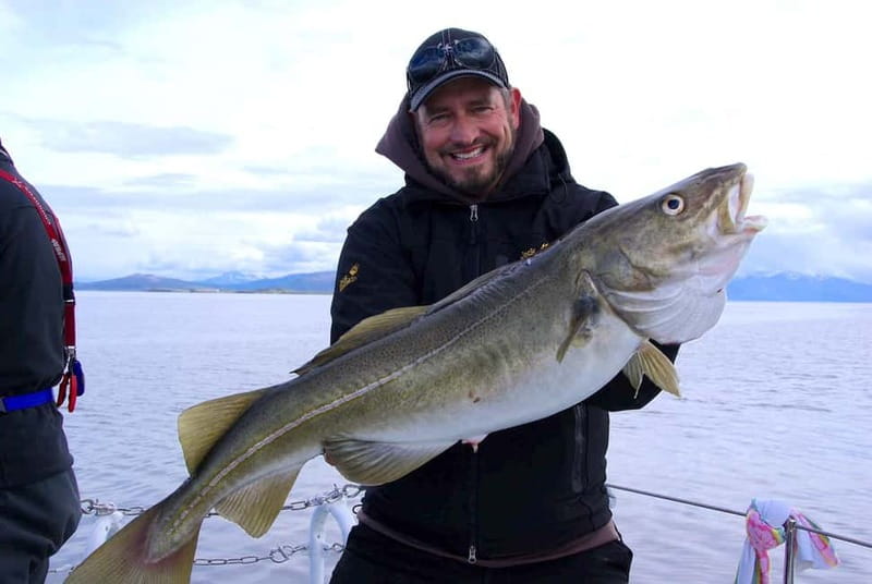 Tromsø: Fishing Sea Safari - Flexibility and Booking Options