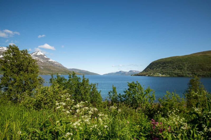 Tromsø: Fjord Adventure with Lunch and Photos - Visiting Sommarøy and Hillesøy