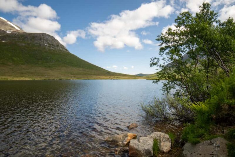 Tromsø: Fjord Adventure with Lunch and Photos - Important Practicalities and Weather Considerations