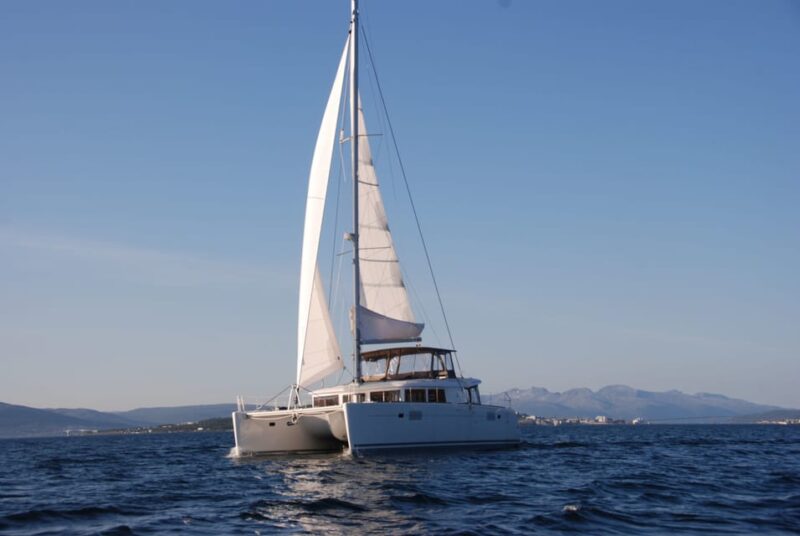 Tromsø: Fjord and Islands Luxury Catamaran Cruise - Delicious Traditional Fish Soup on the Return Journey