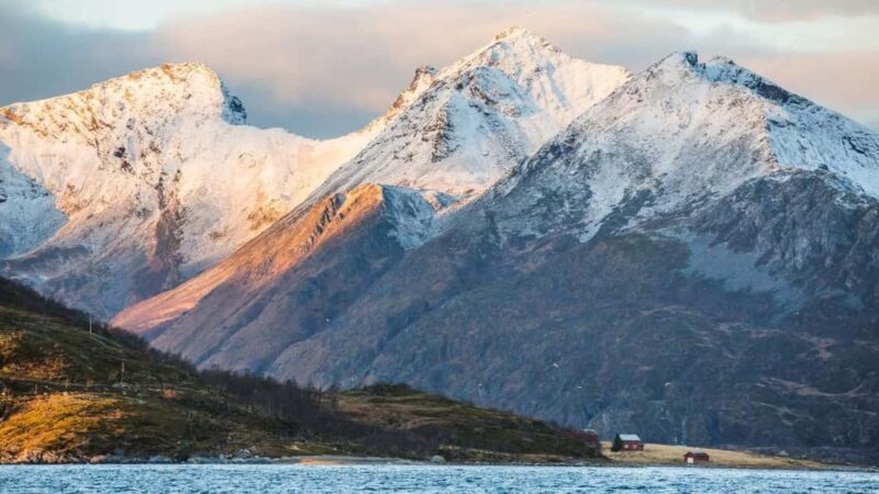 Tromso: Fjord Arctic Adventure Expedition - Wildlife Encounters and Arctic Culture Along the Coast