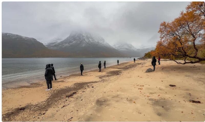 Tromso: Fjord Arctic Adventure Expedition - Flexible Stops and Personalised Exploration