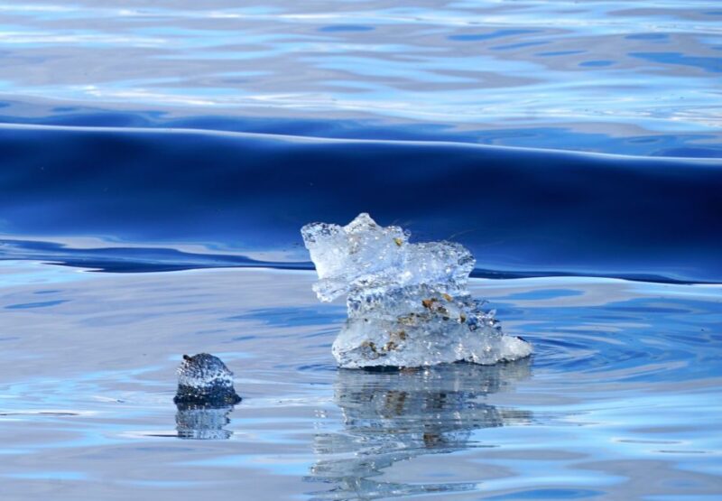 Tromsø: Fjord Cruise by Luxury Yacht - Fishing and Captain Experiences on Board