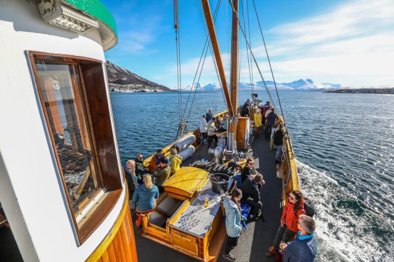 Tromsø: Fjord History Cruise with Snack and Drinks - Scenic Views of Tromsø City and Surroundings