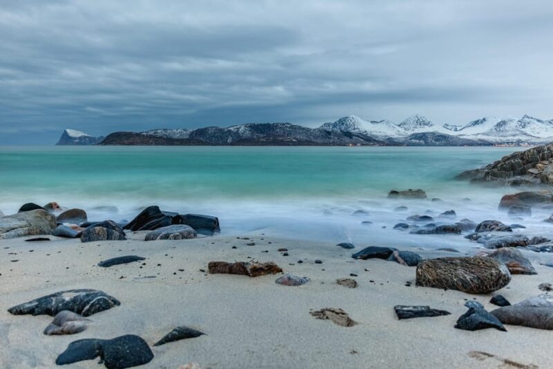 Tromsø: Fjords and Sommarøy Islands Tour with Salmon Picnic - The Arctic Sea Swim Experience