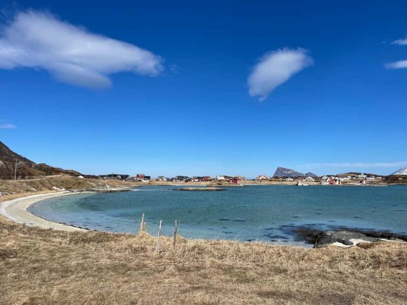 Tromsø: Fjords and Wildlife Tour in a Minibus - Small Group Dynamics and Personal Attention