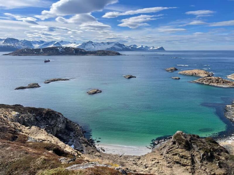 Tromsø: Fjords and Wildlife Tour in a Minibus - Final Thoughts on Tromsø’s Fjords and Wildlife Tour