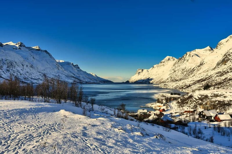 Tromsø: Fjords & Sommarøy Tour with Warm Local Lunch Option - Wildlife Encounters Along the Coastal Route