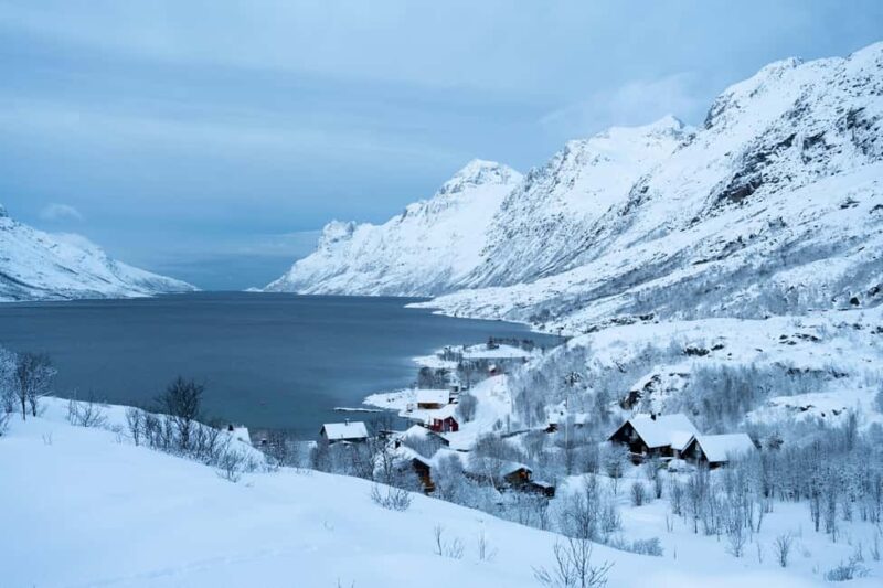 Tromsø: Fjords & Sommarøy Tour with Warm Local Lunch Option - Who Would Enjoy This Tour Most
