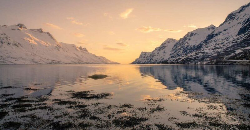 Tromsø: Fjords Tour - Panoramic Viewpoints and Photo Opportunities