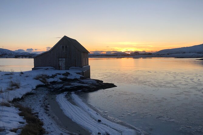 Tromsø: Fjords Tour with campfire and photos - Physical Requirements and Accessibility