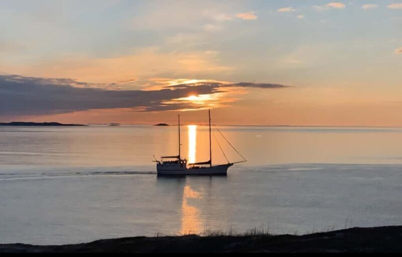 Tromsø: Guided Arctic Nature & Fjord Small Group Tour - Tromsø’s Arctic Fjords, Islands, and Mountains in an Intimate Setting