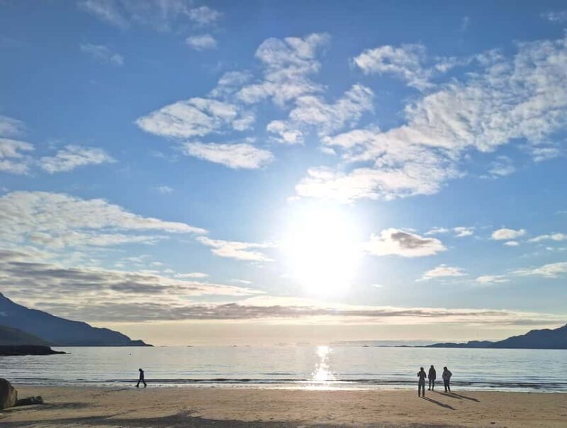 Tromsø: Guided Arctic Nature & Fjord Small Group Tour - Comfortable Transportation and Flexibility