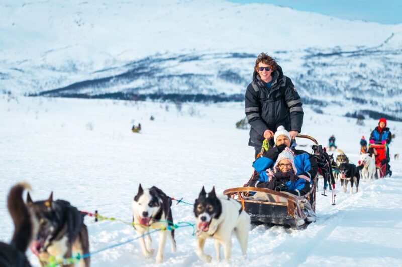Tromsø: Guided Husky Sledding with Traditional Lunch - Up Close with the Huskies and Puppies