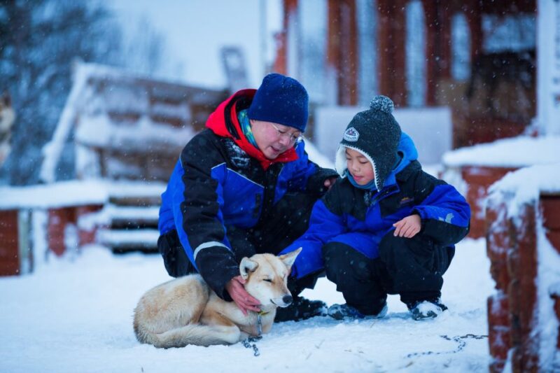 Tromsø: Guided Husky Sledding with Traditional Lunch - Pricing, Cancellation, and Flexibility