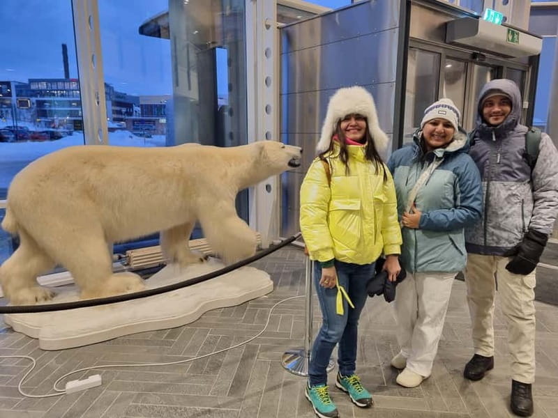 Tromsø: Guided Polar Bear Walk incl. Polaria & Polar Museum - Exploring Tromsø’s Arctic Connection: Guided Polar Bear Walk with Museum Visits