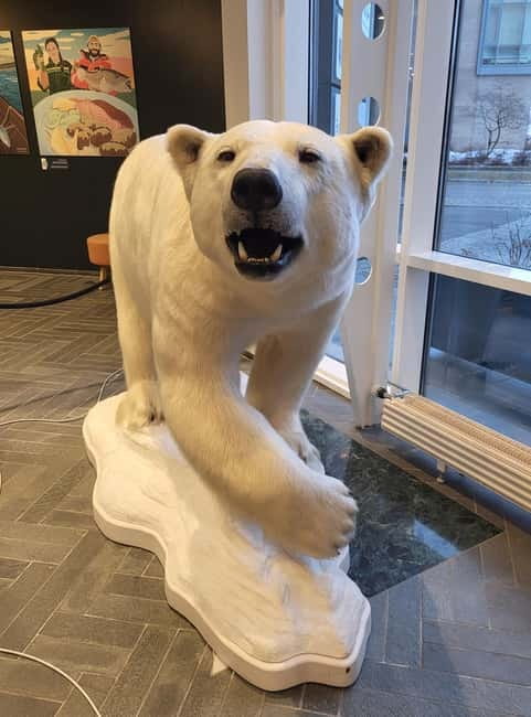 Tromsø: Guided Polar Bear Walk incl. Polaria & Polar Museum - Practical Details: Logistics, Equipment, and Group Size