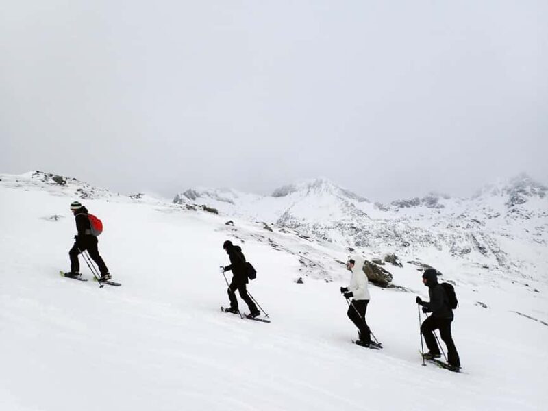 Tromsø: Guided snowshoe hill hike - An Excursion Into Arctic Wilderness with Guided Snowshoeing