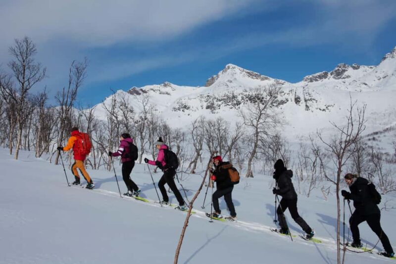 Tromsø: Guided snowshoe hill hike - Comparing Similar Arctic Snowshoe Tours in Tromsø