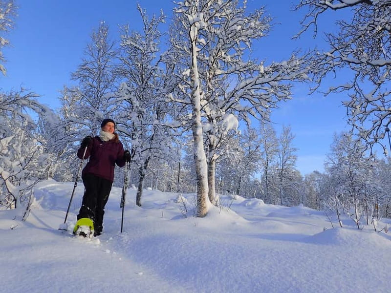 Tromsø: Guided snowshoe trip with a campfire - Key Points