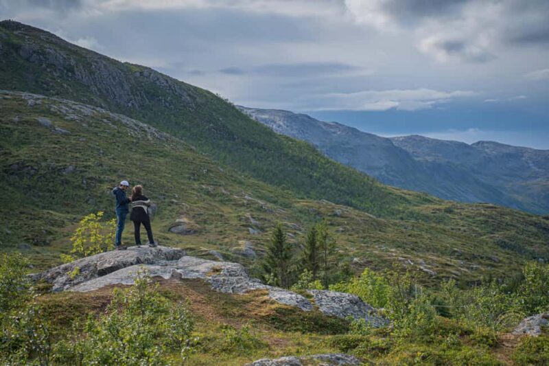 Tromso: Guided Summer Hiking Tour with Picnic & Photos - Photography Opportunities Along the Trail