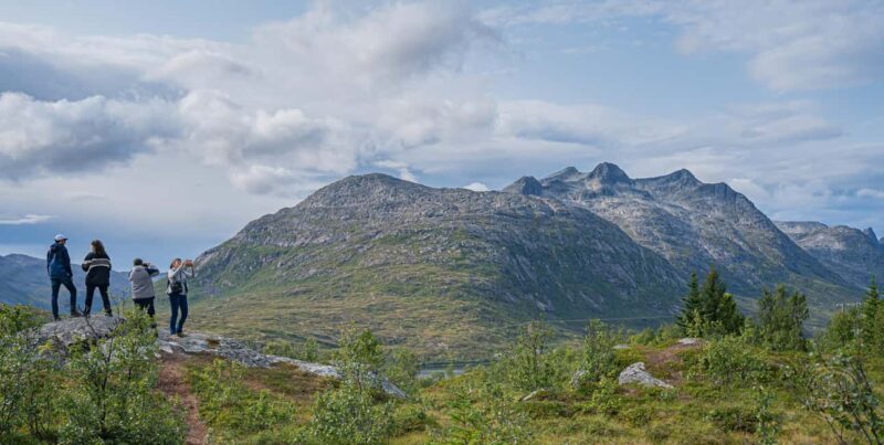 Tromso: Guided Summer Hiking Tour with Picnic & Photos - Logistics: Meeting Point and Small Group Comfort