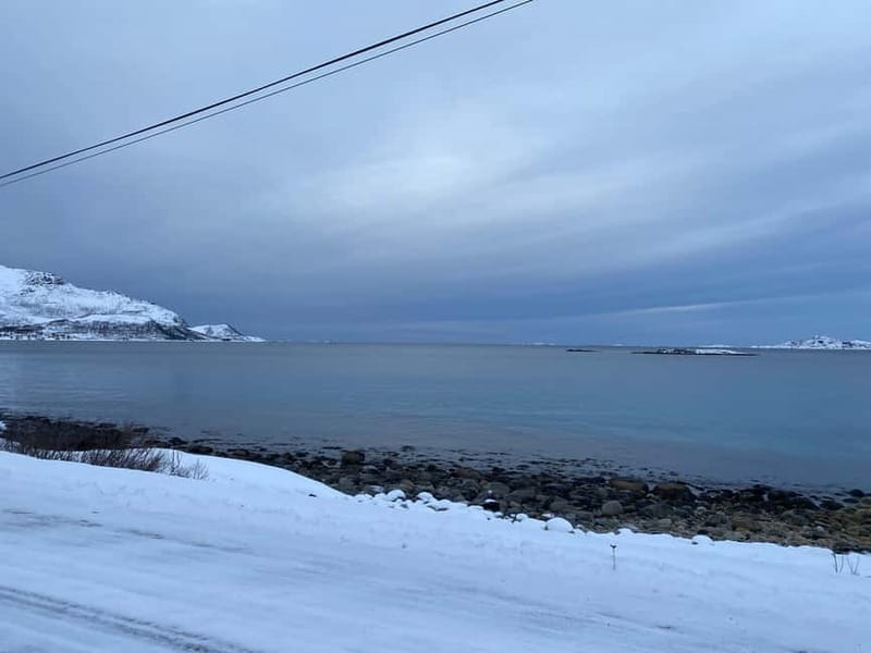 Tromsø Half-Day Private Tour: Fjords & Sommarøy Adventure - Key Points